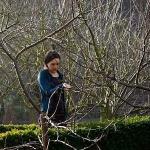 L'apparition - Hadewijch - Les Combattants 19183490