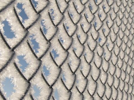 4 idées de photo macro en hiver 4 idées de photo macro en hiver