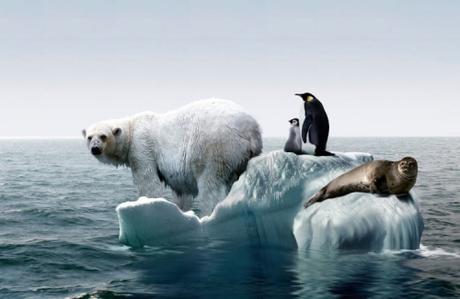 Rêves arctiques - Barry Lopez Rêves arctiques - Barry Lopez