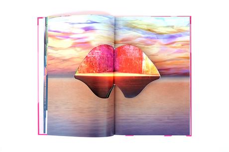 CHLOE SELLS – FLAMINGO