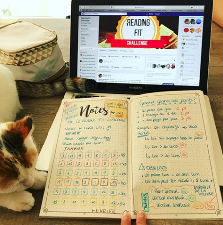 [Bilan] – Le reading fit challenge : c’est fini !