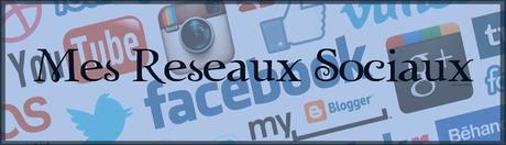 Mes Réseaux Sociaux