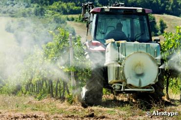 Médoc : alerte à la contamination des maisons et des écoles par les pesticides