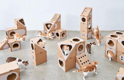 Cabanes modulaires pour chats