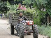 Kubota thaïlandais multi-délires (vidéos)