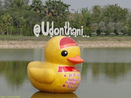 Udon-Thani, année du chien et saint valentin, le canard fait son show