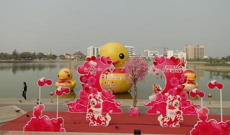 Udon-Thani, année du chien et saint valentin, le canard fait son show