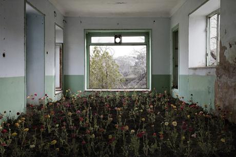 Le sort des maisons iraniennes abandonnées, une série photographique de Gohar Dashti