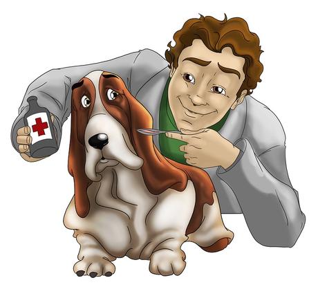 Annuaire vétérinaire : urgence animaux (chien et chat)