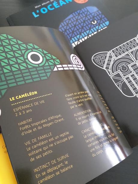 Mon album sticker art : La jungle - La savane - L'océan ♥ ♥ ♥