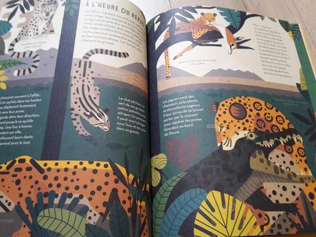 Feuilletage d'albums #73 : Spécial DOCUMENTAIRES de fin d'année 2017 : Ame animale - Félins ♥ ♥ ♥  - Nature Le catalogue des merveilles - Dinosauria Un documentaire à colorier