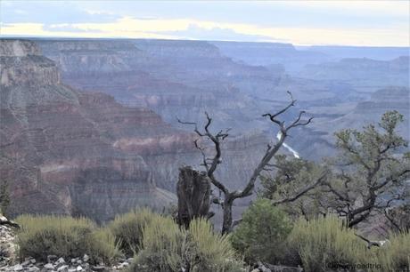 Grand Canyon South Rim / Rive Sud