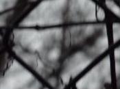 Robitaille Daniel Guimond: Saisons numériques (PHOTOS)