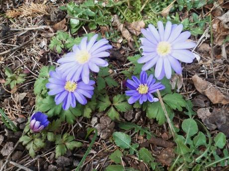 CITATIONS sur VIEILLARD citations,auteurs,livres,écriture,culture,littérature,recueil