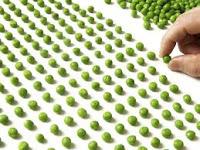 TOC, concentration ou multitâche?