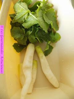 Pâté végétal vitaminé aux radis et au persil (Vegan)