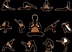 Qu’est ce que le Hatha Yoga ? Hatha yoga postures