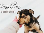 Canadon pensée d'offrir