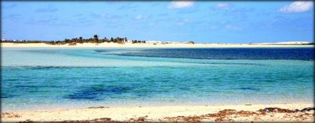 Max | Fiesta lagon.jpg