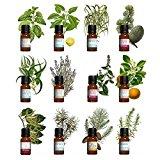 Kit aromathérapie - Lot de 12 huiles essentielles 10ml 100% pures et naturelles. Qualité France