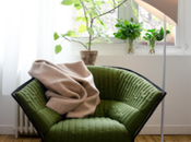 fauteuil Moël Ligne Roset