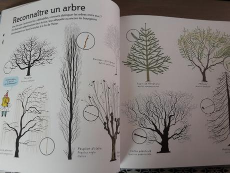 Tout sur l'hiver ♥ ♥ ♥