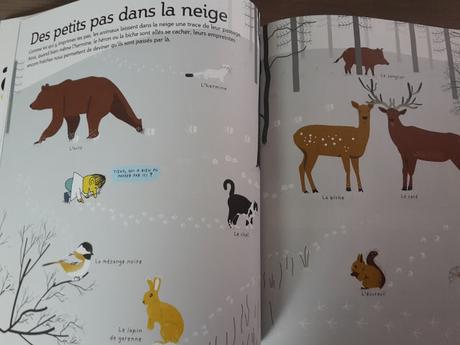 Tout sur l'hiver ♥ ♥ ♥