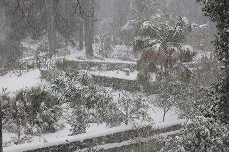 Neige à Montpellier Neige à Montpellier