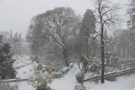 Neige à Montpellier