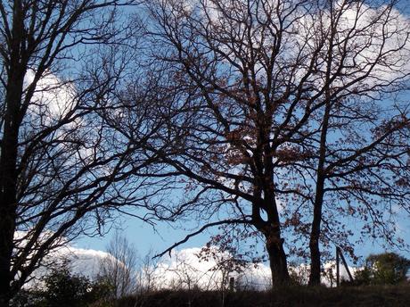 écrire ceux qu'on aime