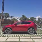 MOTEUR : Mazda or The Lady In Red