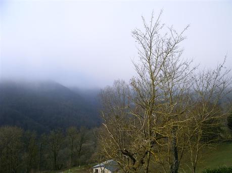 à vivre le chant on gagne sur l'effondrement à vivre le chant on gagne sur l'effondrement