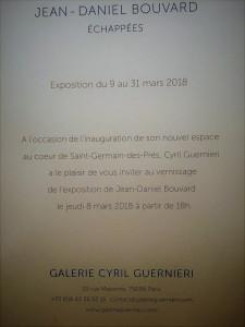 Galerie  Cyril GUERNIERI  exposition Jean-Daniel  BOUVART  » échappées » 9/31 Mars 2018