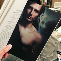 Capture d_écran 2018-02-25 à 12.06.07