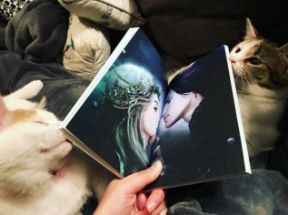 Capture d_écran 2018-02-25 à 12.06.13