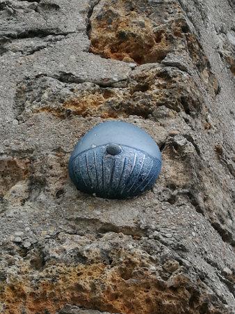 sein_gris.jpg, fév. 2018 sein_gris.jpg