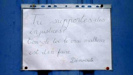 une saison sur terre