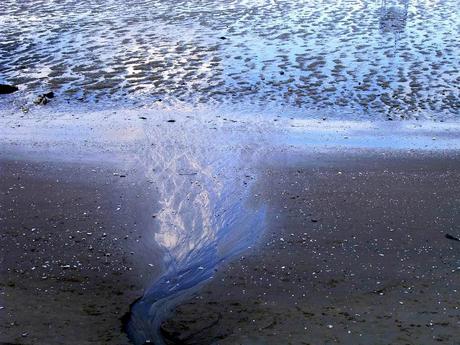 une saison sur terre