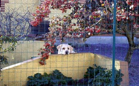 une saison sur terre