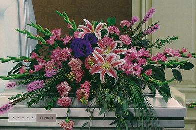 Ces Singes Qui Montent au Ciel