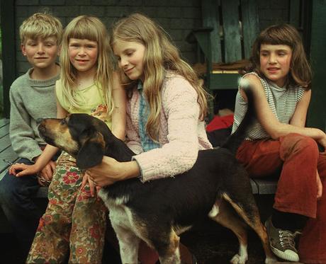 Ces Singes Qui Montent au Ciel