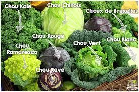 Les choux (brocolis, chou rouge, chou fleur, chou kale,Etc...)