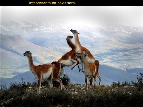 Divers - De superbes photos - 1