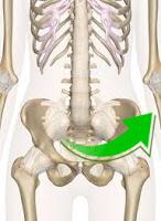 Virages à ski par « poussée-pelvienne » ?