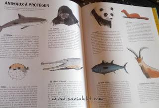 Où êtes-vous ? Où êtes-vous ?