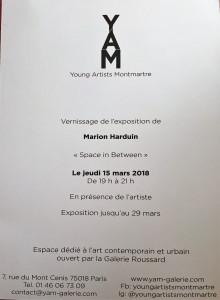 Galerie Y A M Galerie  exposition  Marion HARDUIN 15/29 Mars 2018