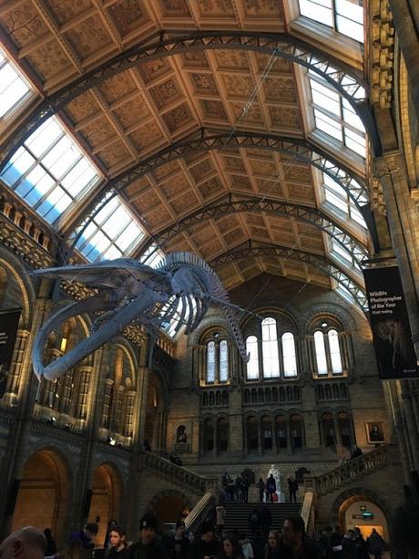 Londres avec les enfants Londres avec les enfants