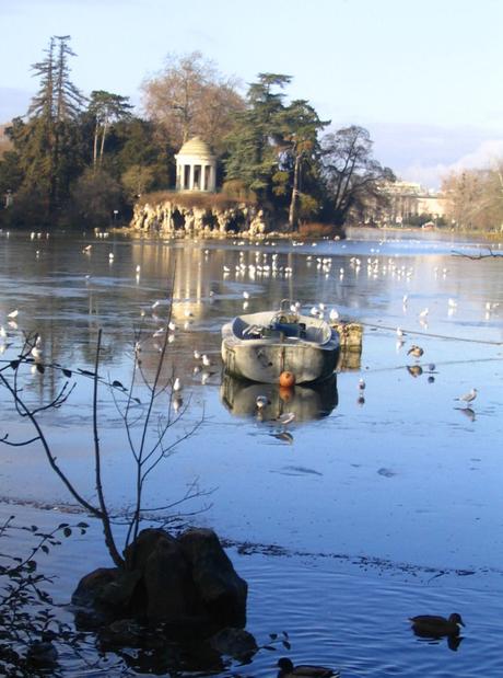 Bois de Vincennes : Hidalgo disparaît dans le lac ! Bois de Vincennes : Hidalgo disparaît dans le lac !