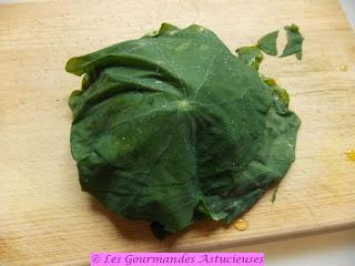 Recette simple et pratique avec des légumes de mon jardin congelés (Vegan)