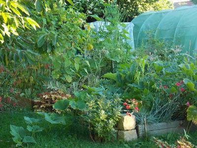 Que planter dans un jardin en permaculture ?